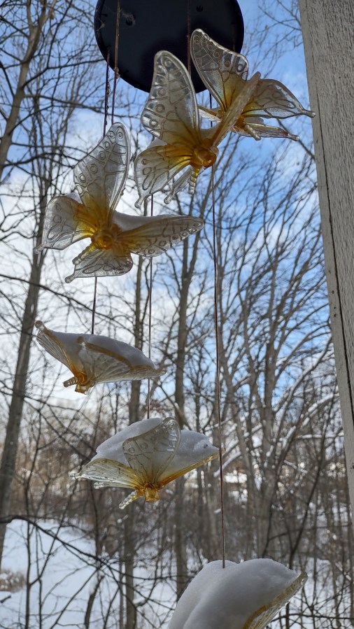 img_20240217_143038908_hdr