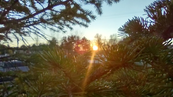 img_20240220_175518200_hdr