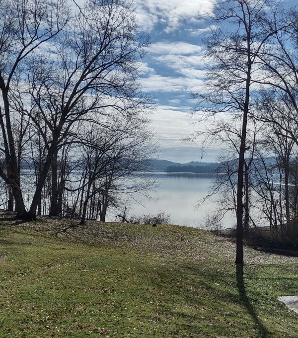 IMG_20240303_095548212_HDR_1