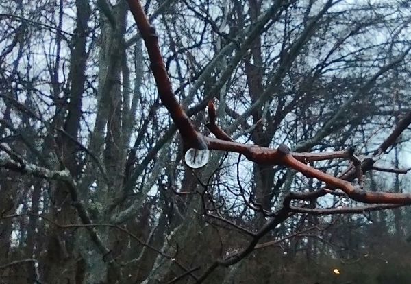 IMG_20240305_181930254_1