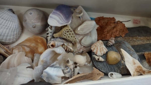 IMG_20240309_105224295