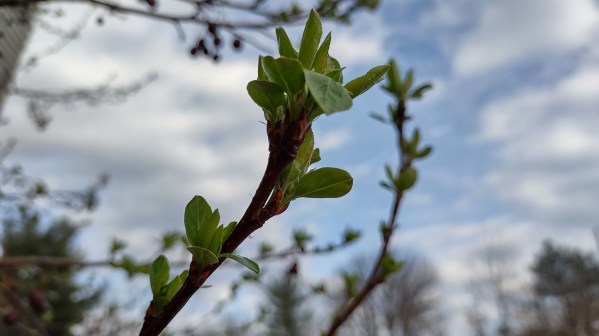 IMG_20240314_174151413_HDR