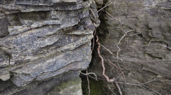 IMG_20240301_175535873_HDR