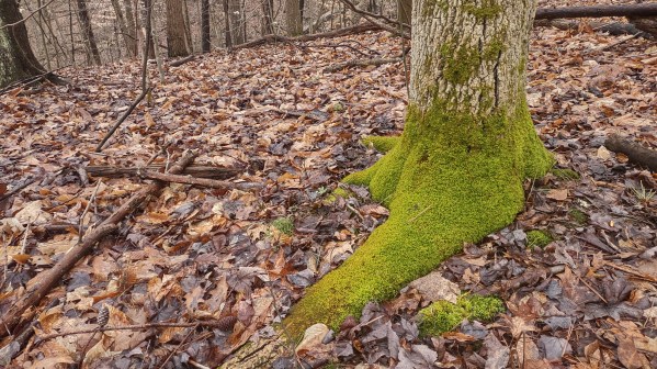 IMG_20240302_114250042_HDR