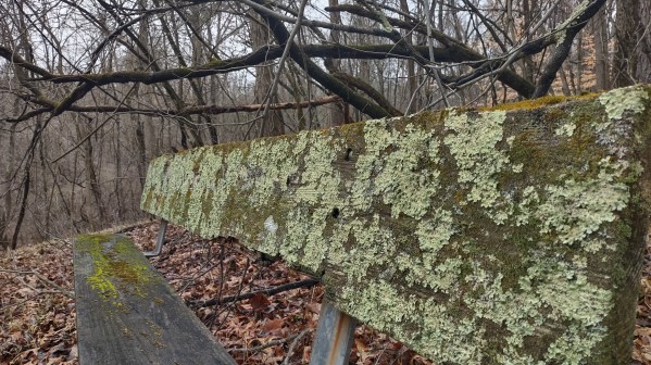 IMG_20240302_120915771_HDR