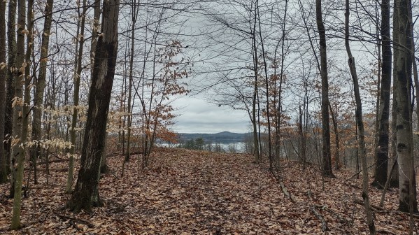 IMG_20240302_145512142_HDR