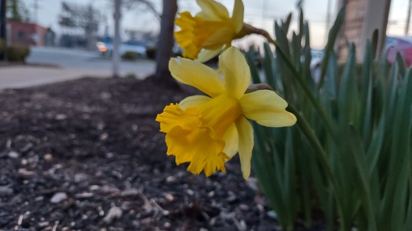 IMG_20240312_194312082_HDR