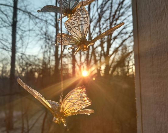 IMG_20240321_074954203_HDR_1