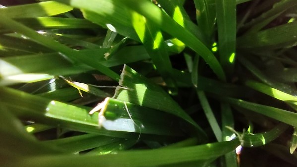 IMG_20240422_111424728_HDR