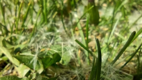 IMG_20240422_111743914_HDR