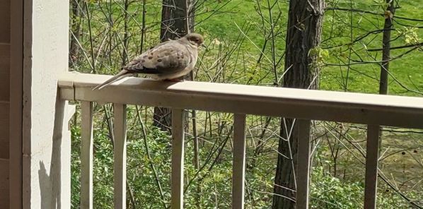 IMG_20240425_114517767_HDR_1