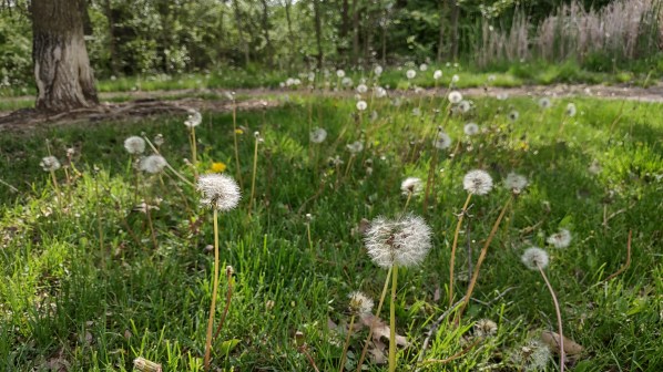 IMG_20240428_164912990_HDR