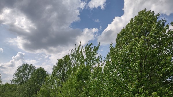 IMG_20240428_165951865_HDR