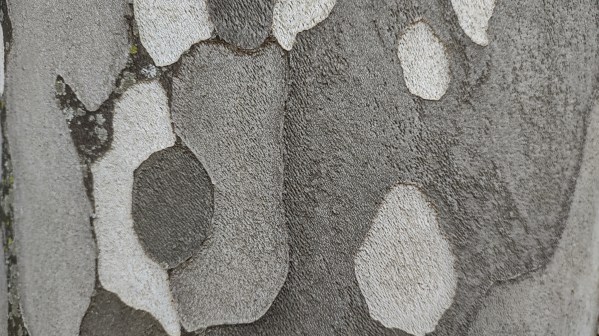 IMG_20240428_170357461_HDR