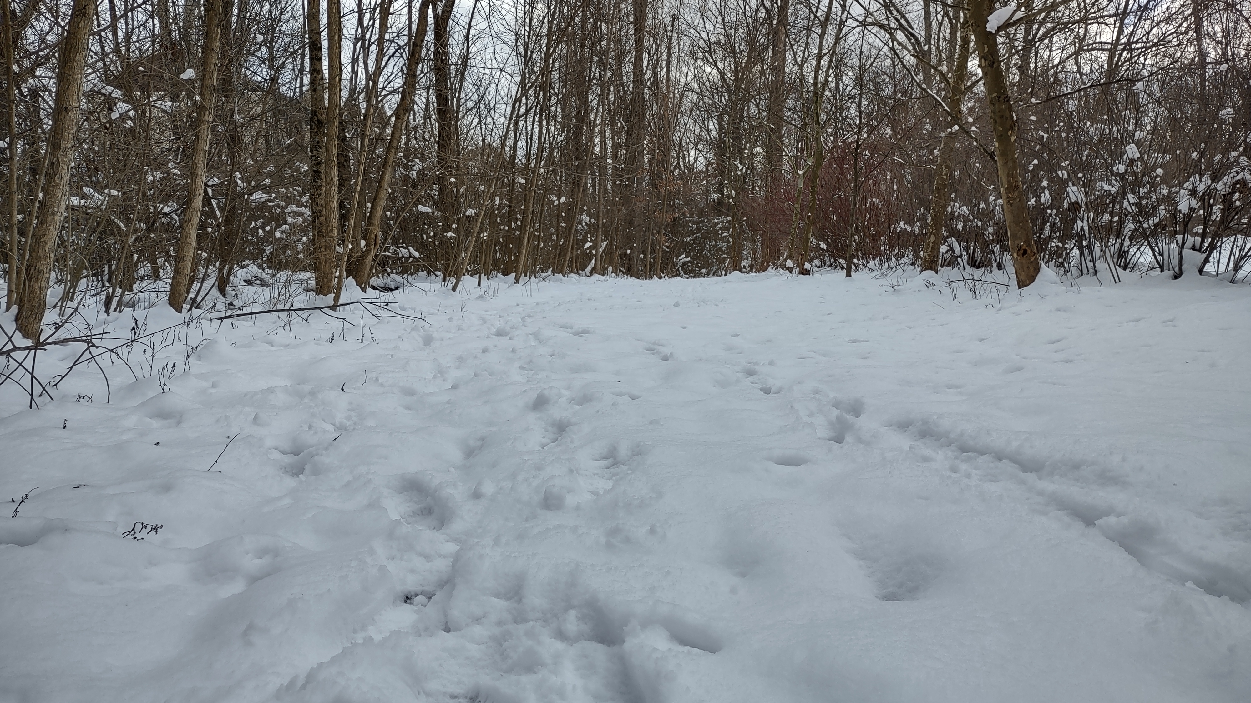 IMG_20240217_152528124_HDR