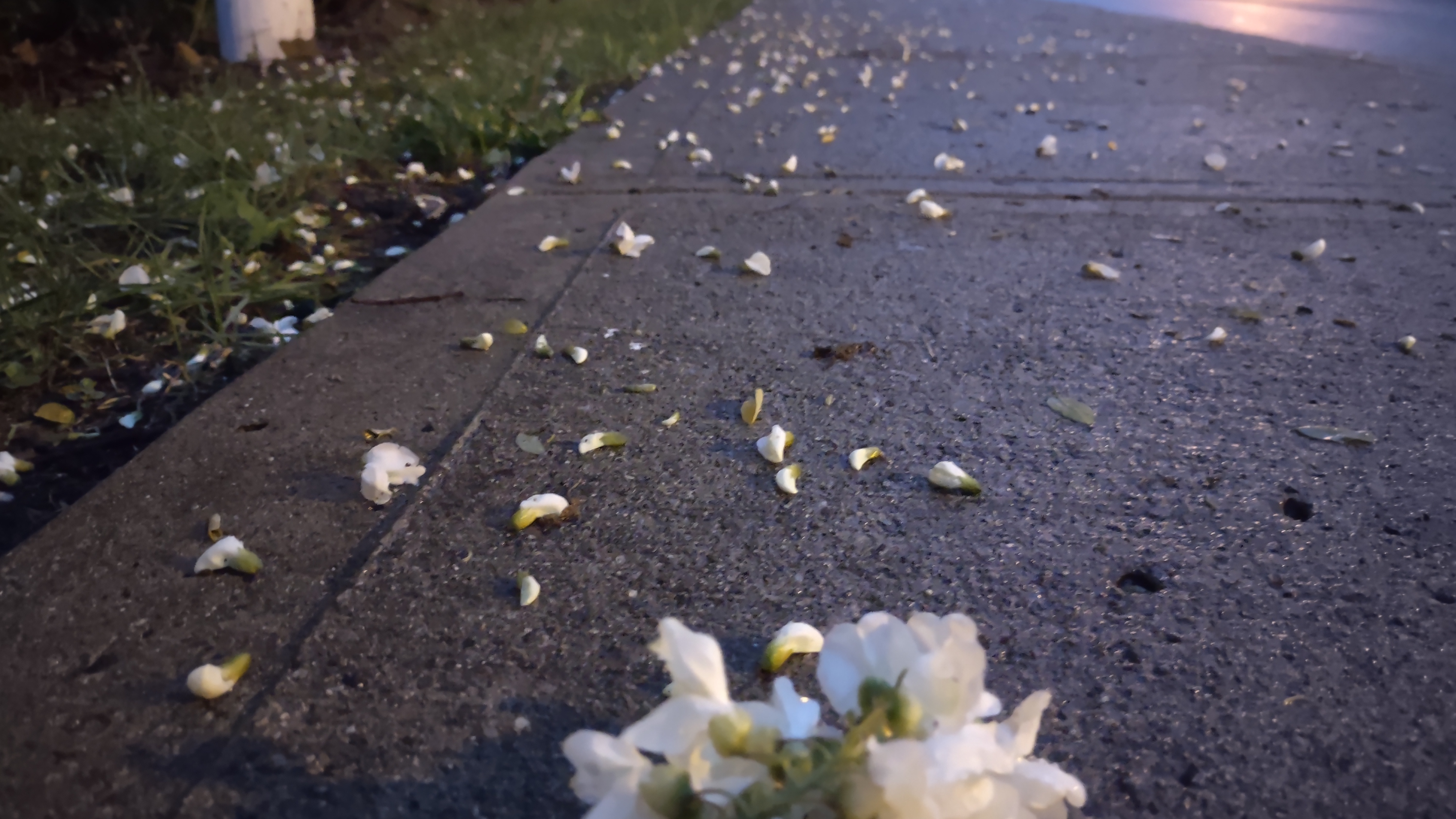 IMG_20240506_205314644