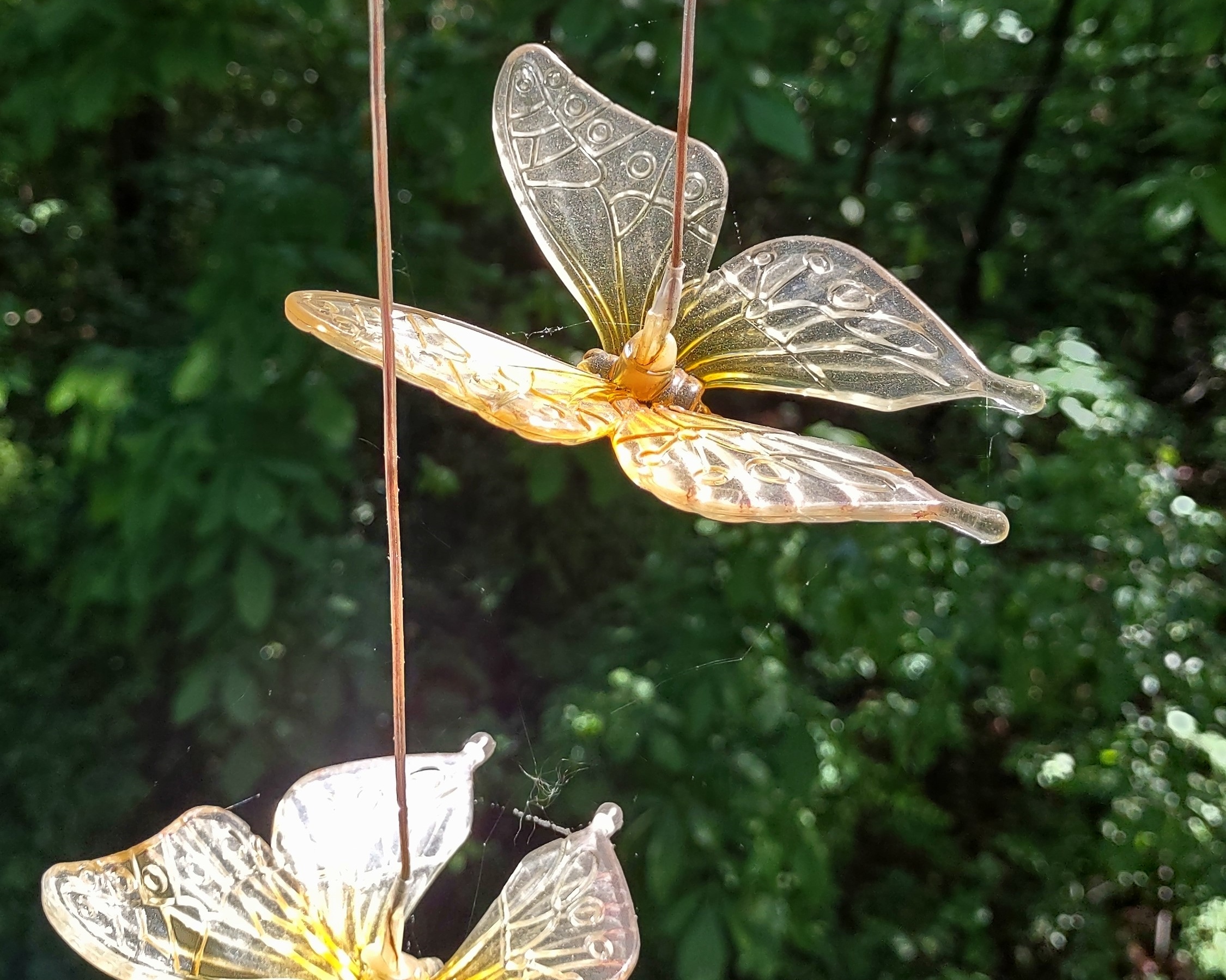 IMG_20240508_100023220_HDR