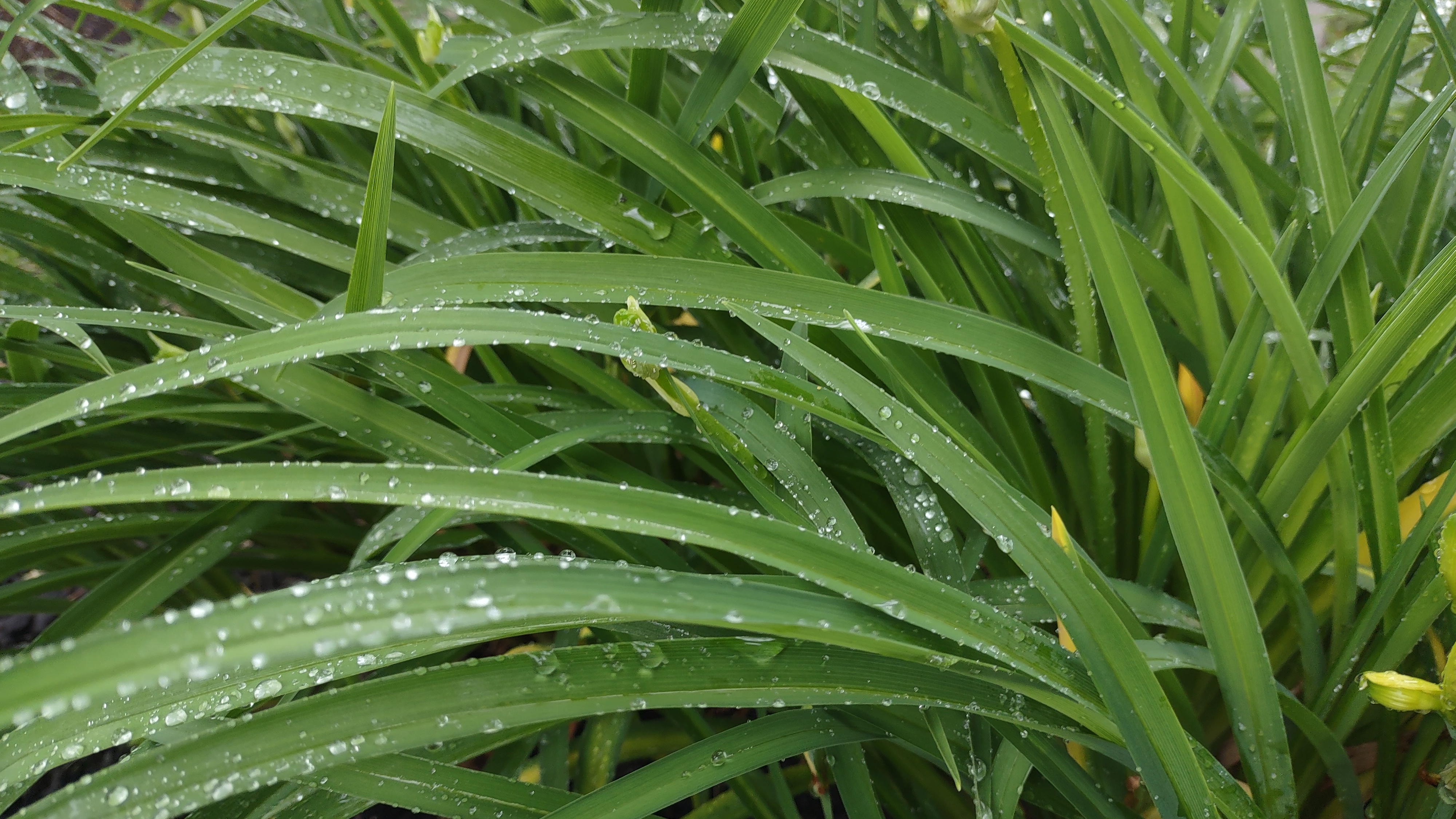 IMG_20240514_190139149