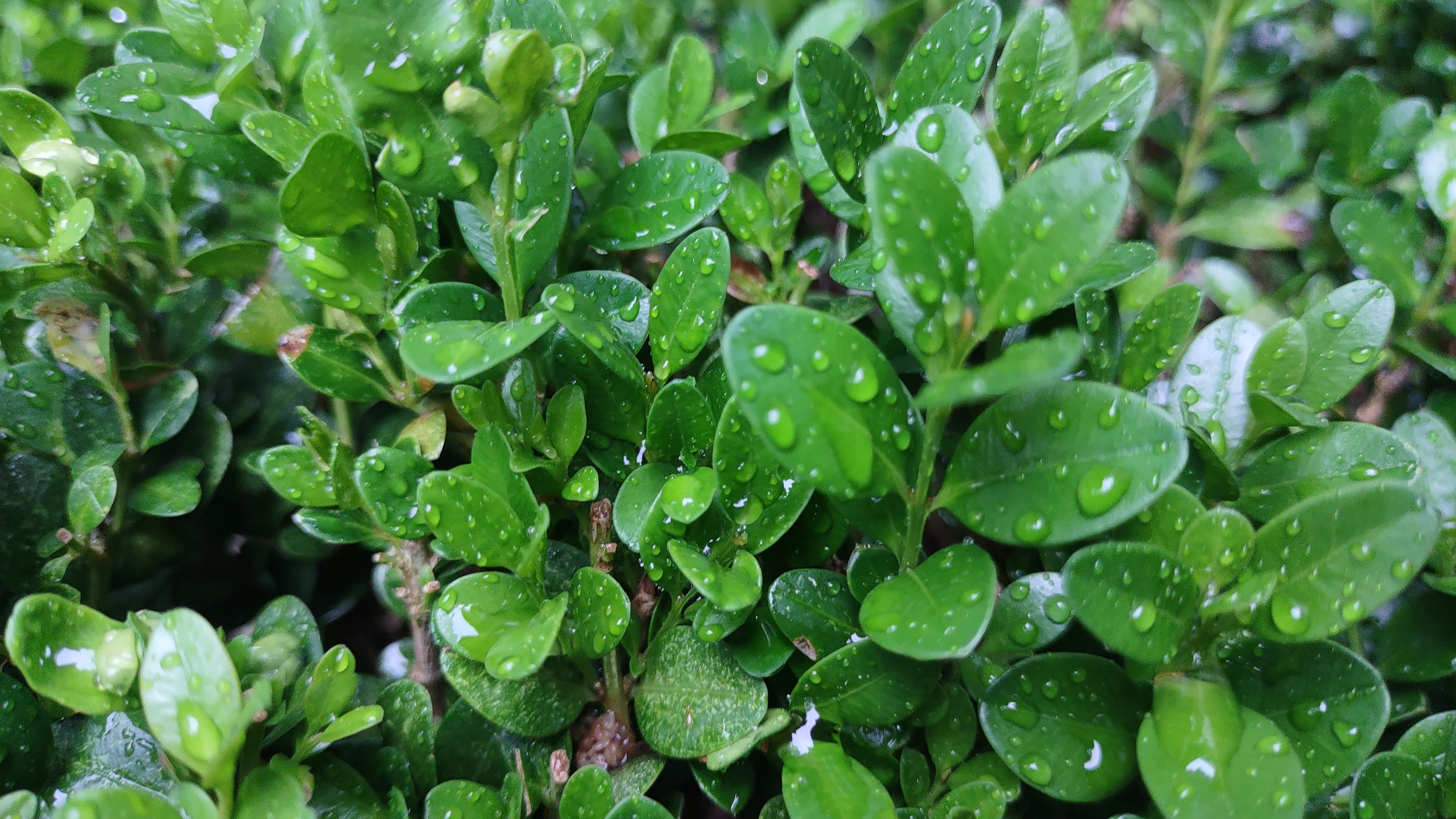 IMG_20240514_190515922