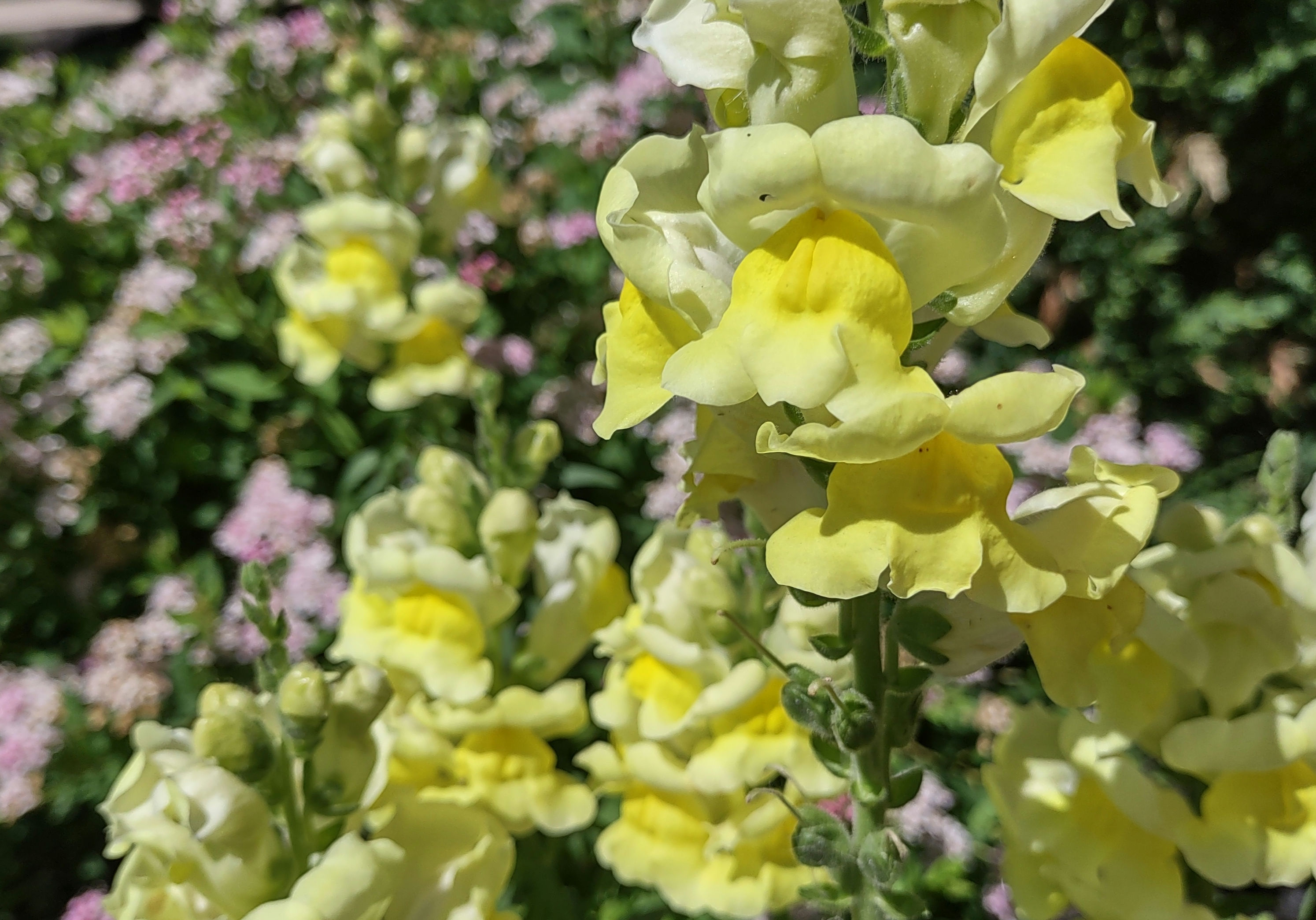 IMG_20240531_154749903_HDR_1