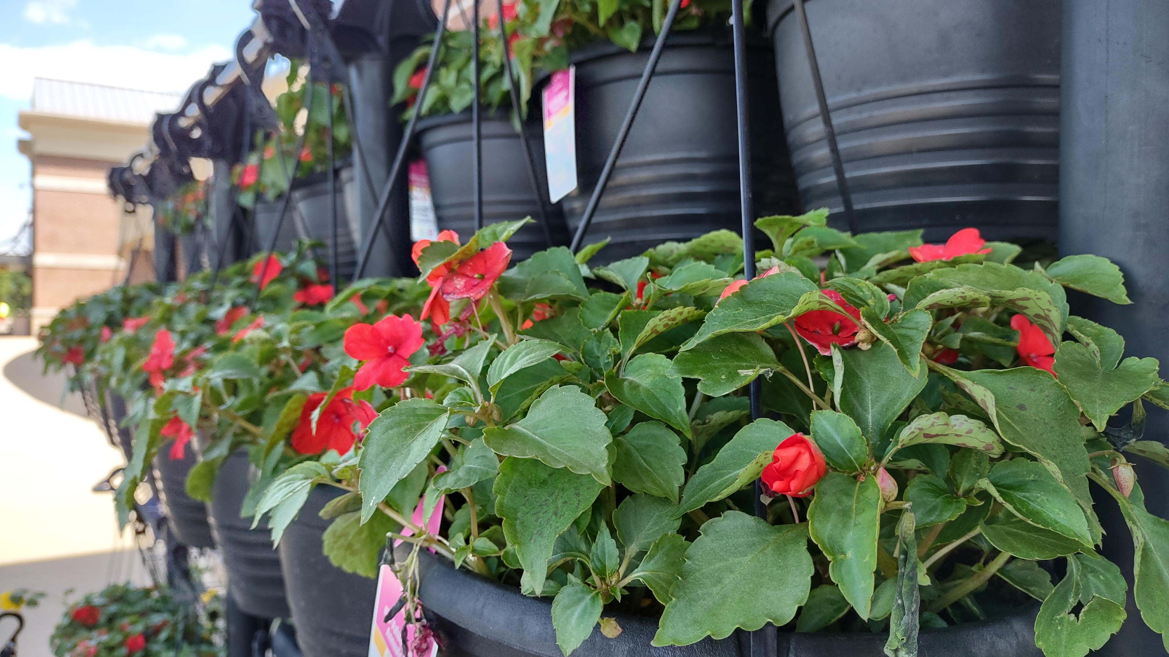 IMG_20240611_112453679_HDR