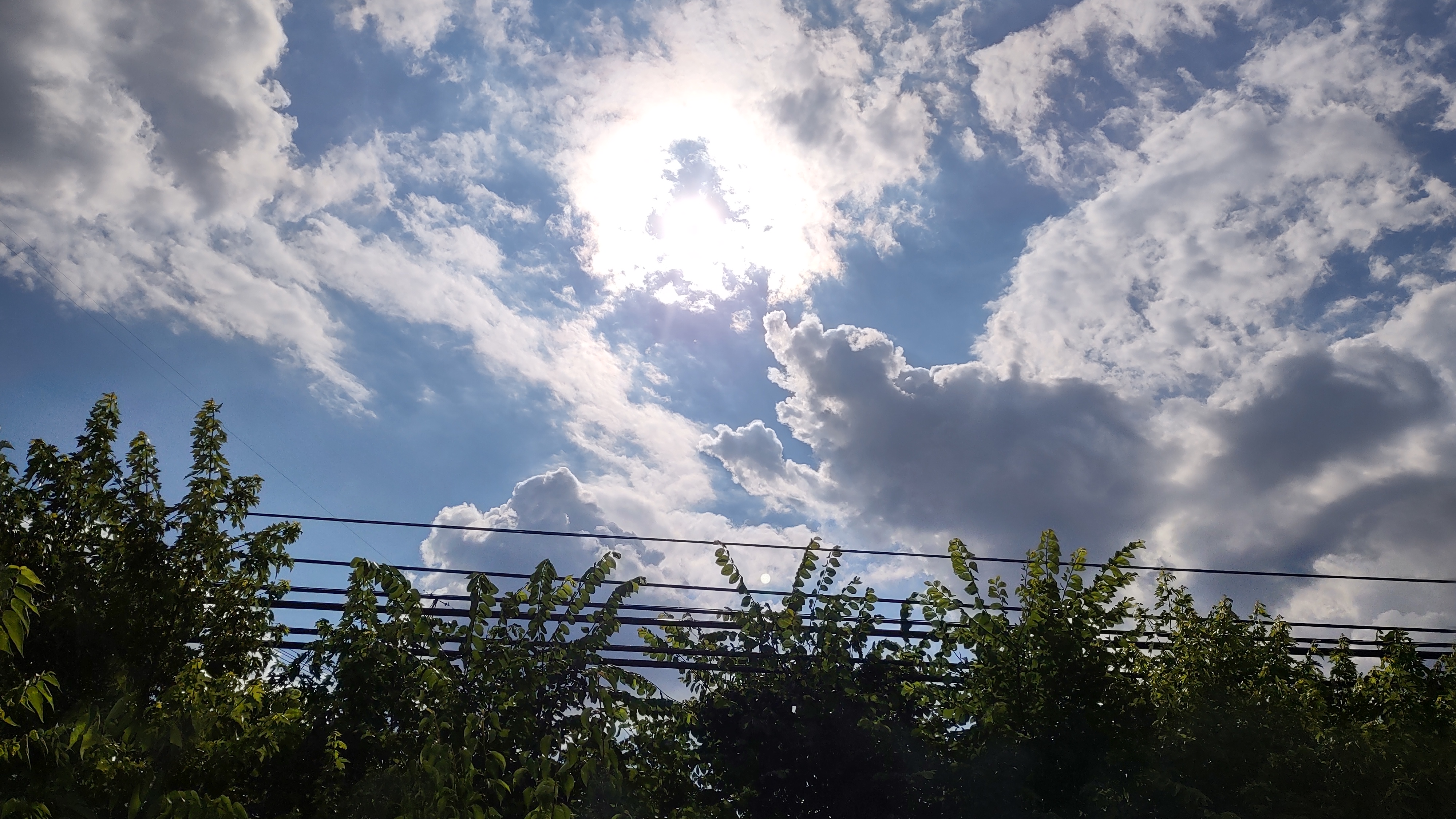 IMG_20240624_165623818_HDR