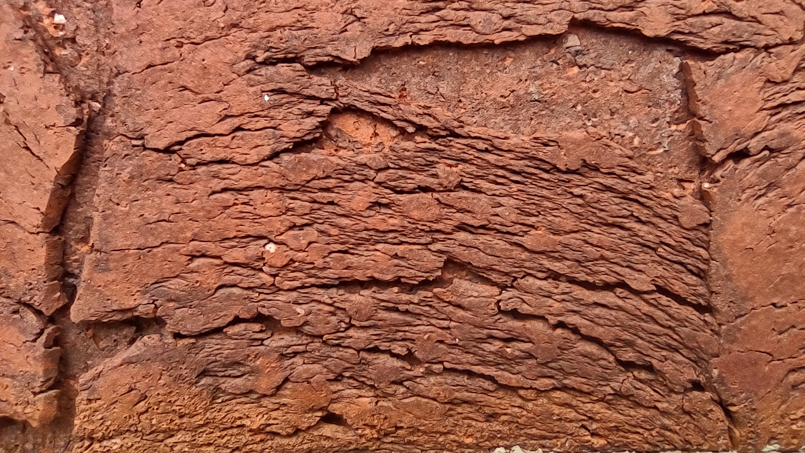 IMG_20240714_155446834_HDR