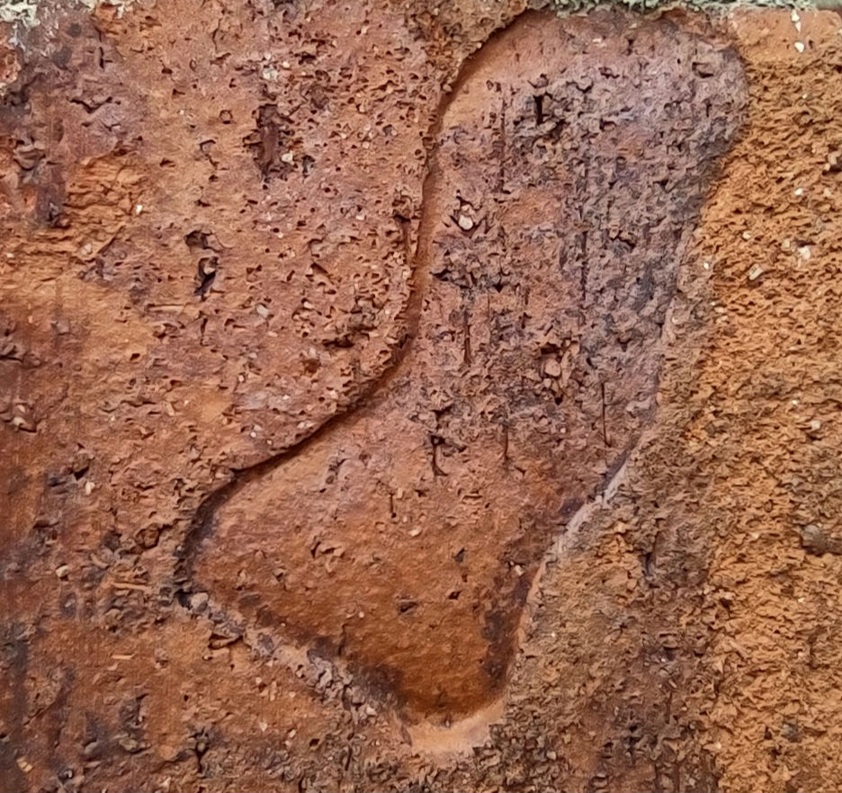 IMG_20240714_155508325_HDR_1