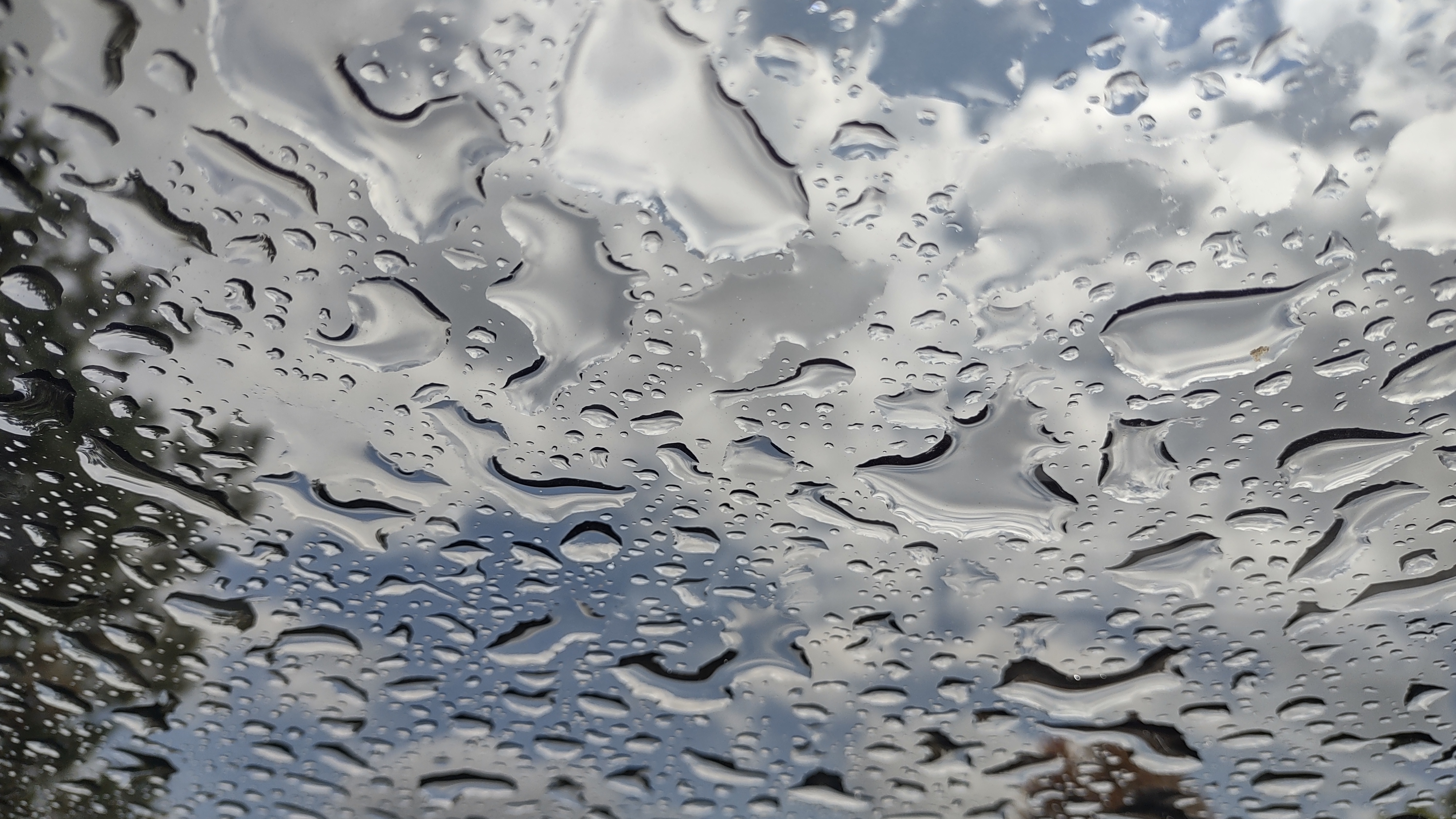 IMG_20240729_141656525_HDR