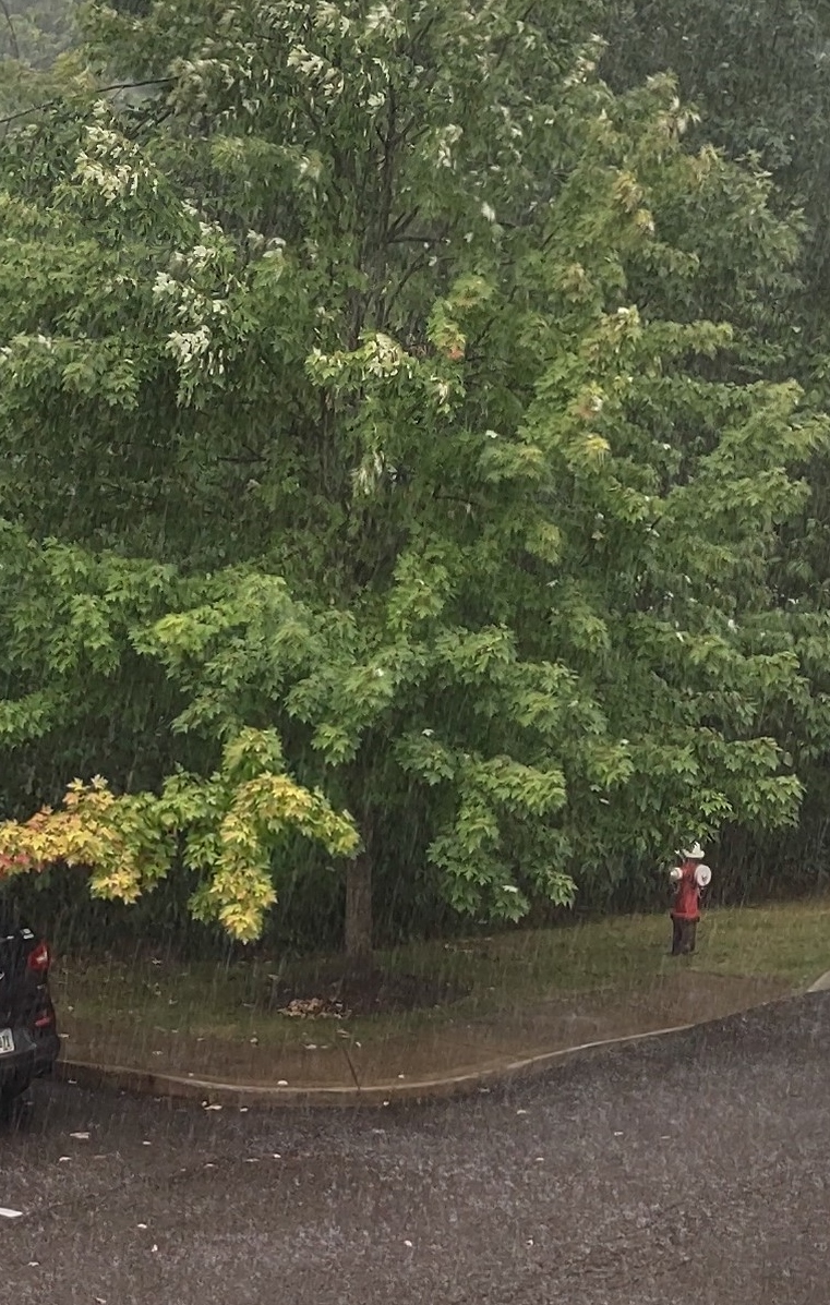 IMG_20240803_150657399_HDR