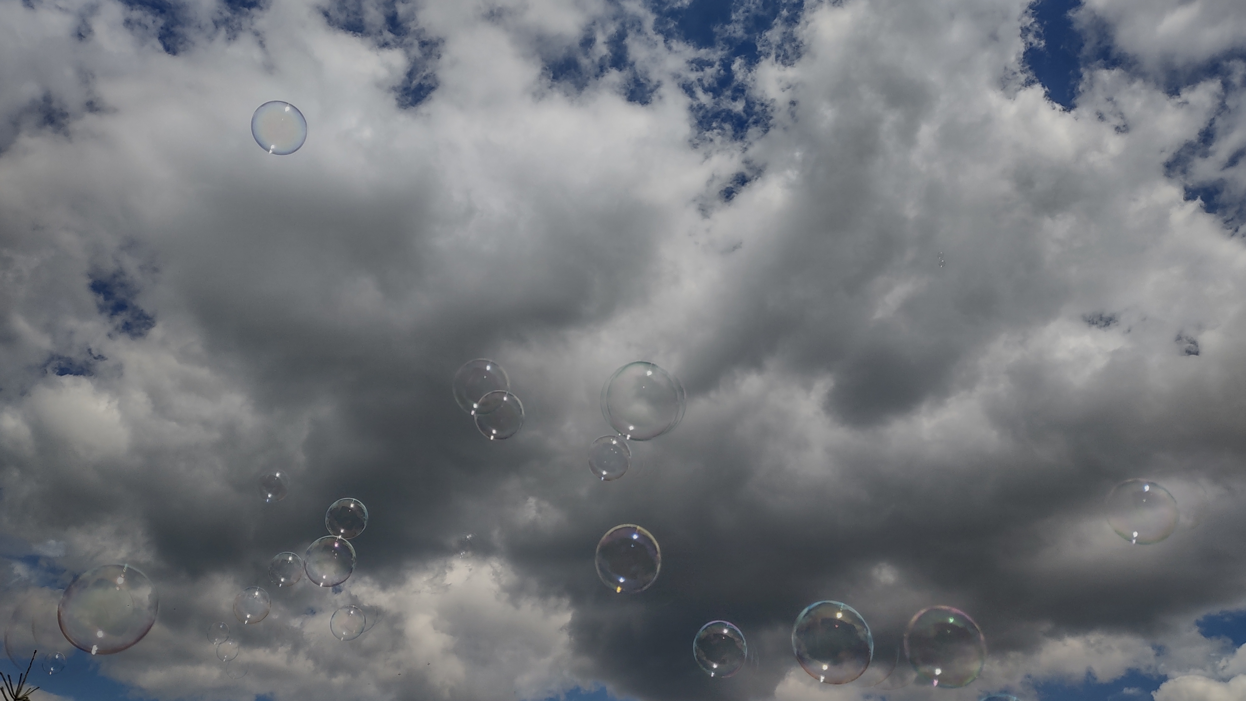 IMG_20240811_152553507_HDR