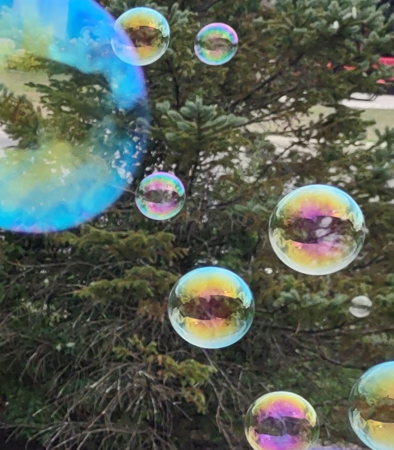 IMG_20240811_153607894