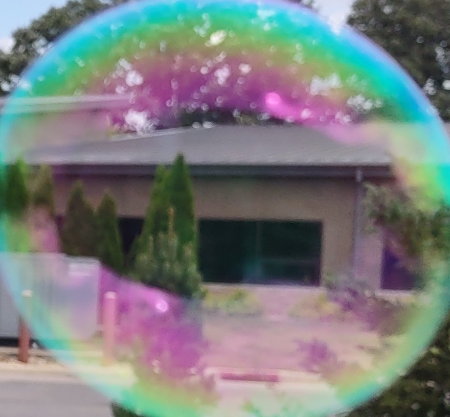 IMG_20240811_153628137