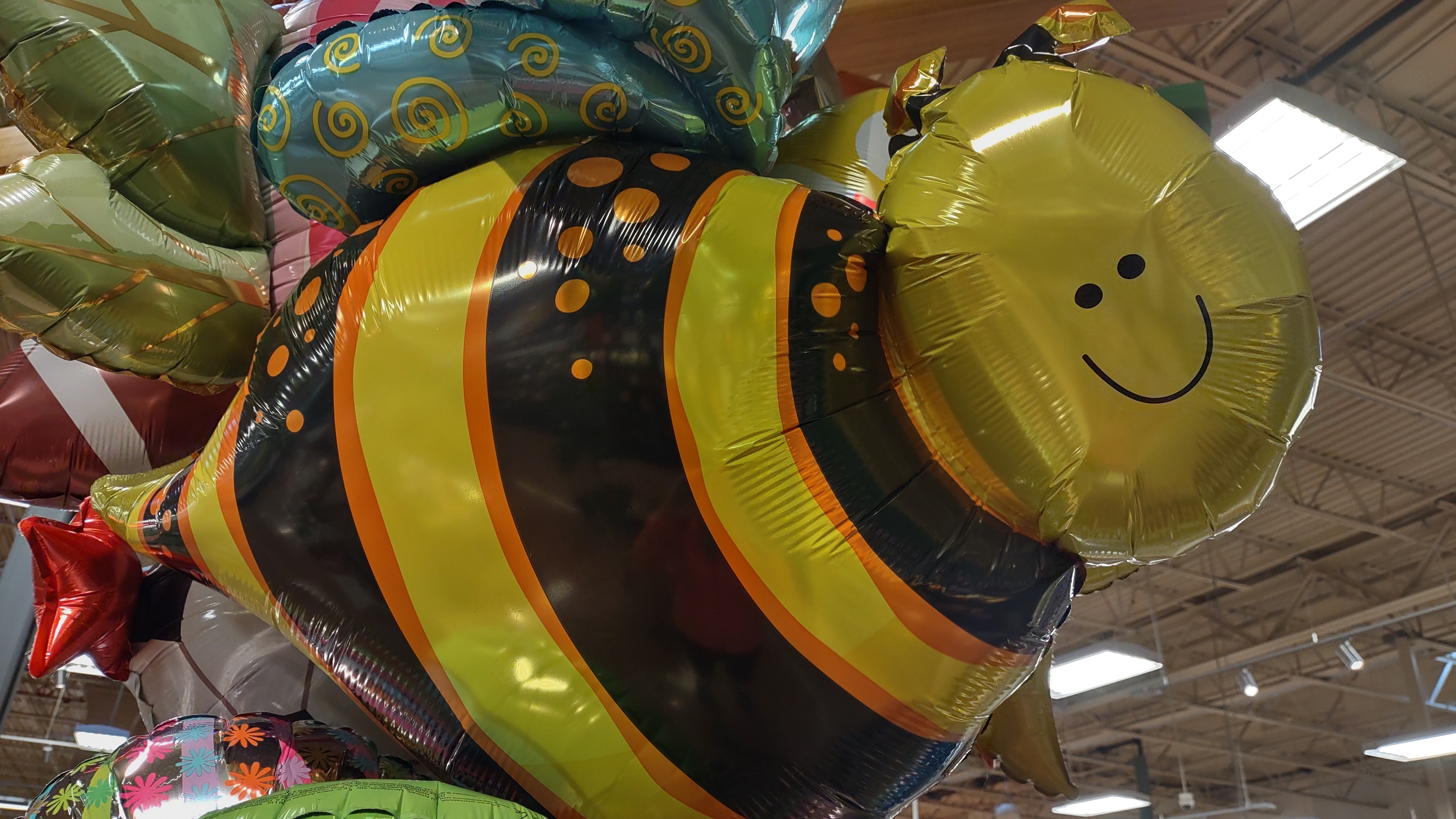 IMG_20240812_190340785_HDR