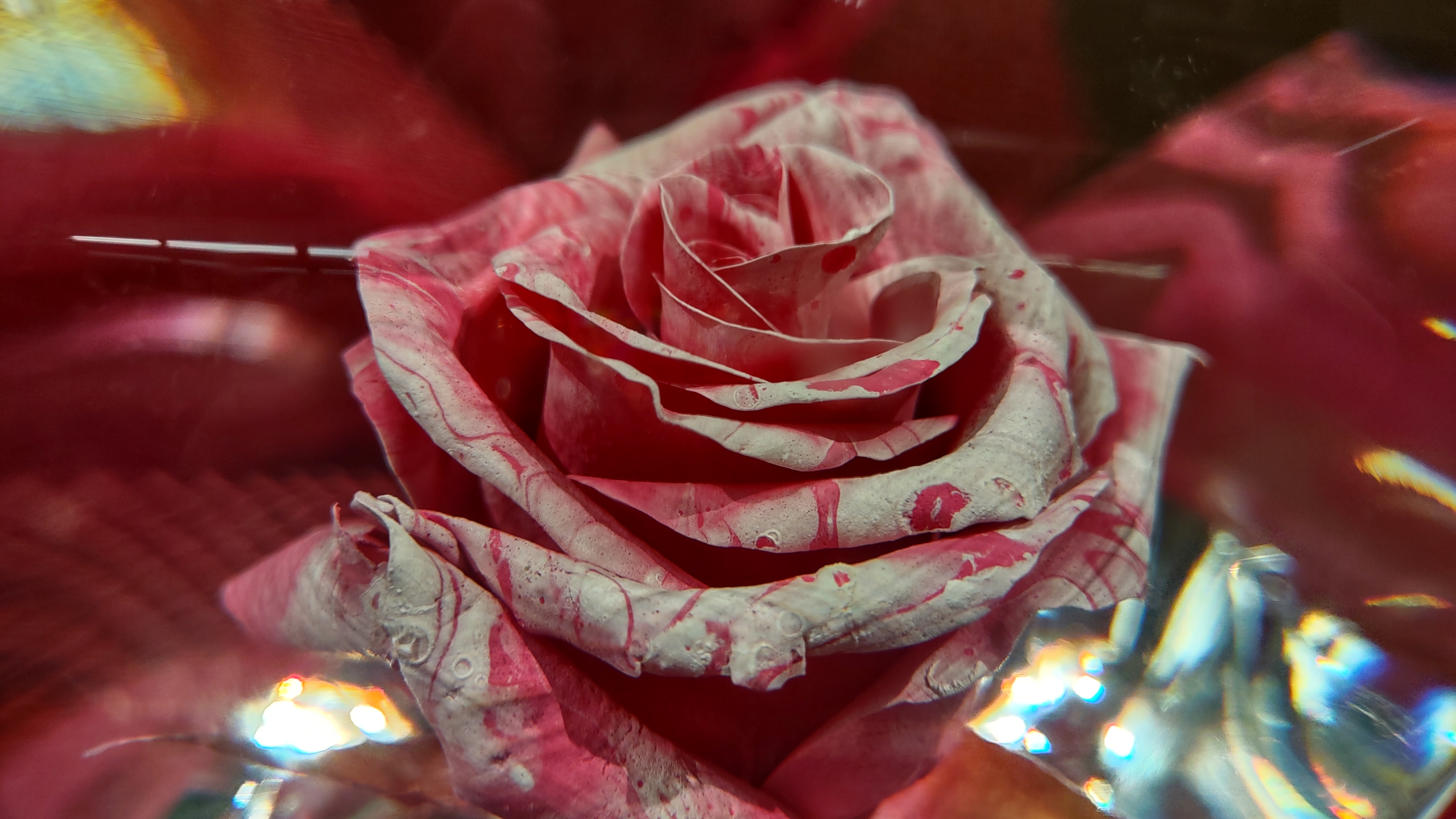 IMG_20240812_190404099_HDR