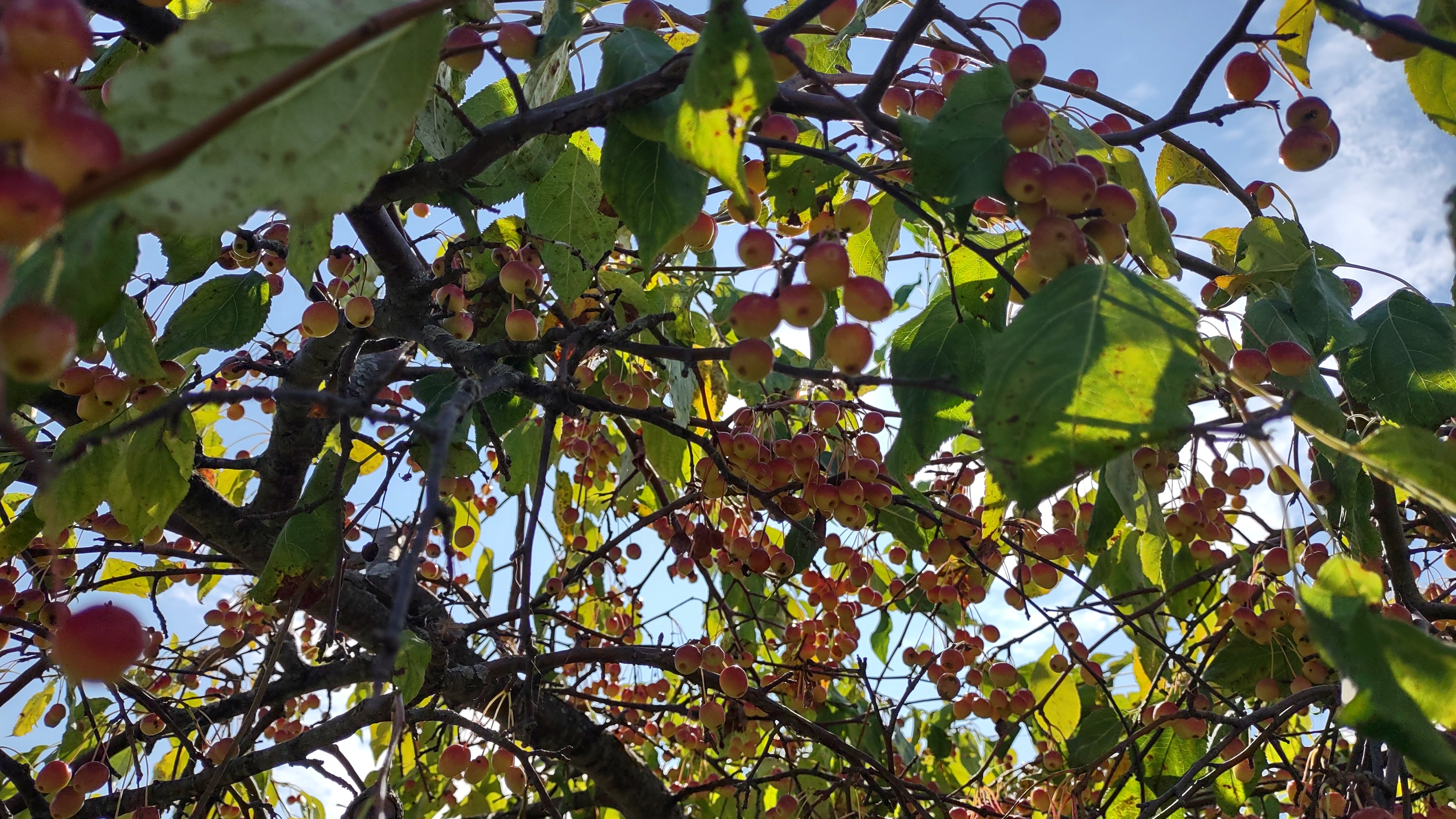 IMG_20240813_100010940_HDR