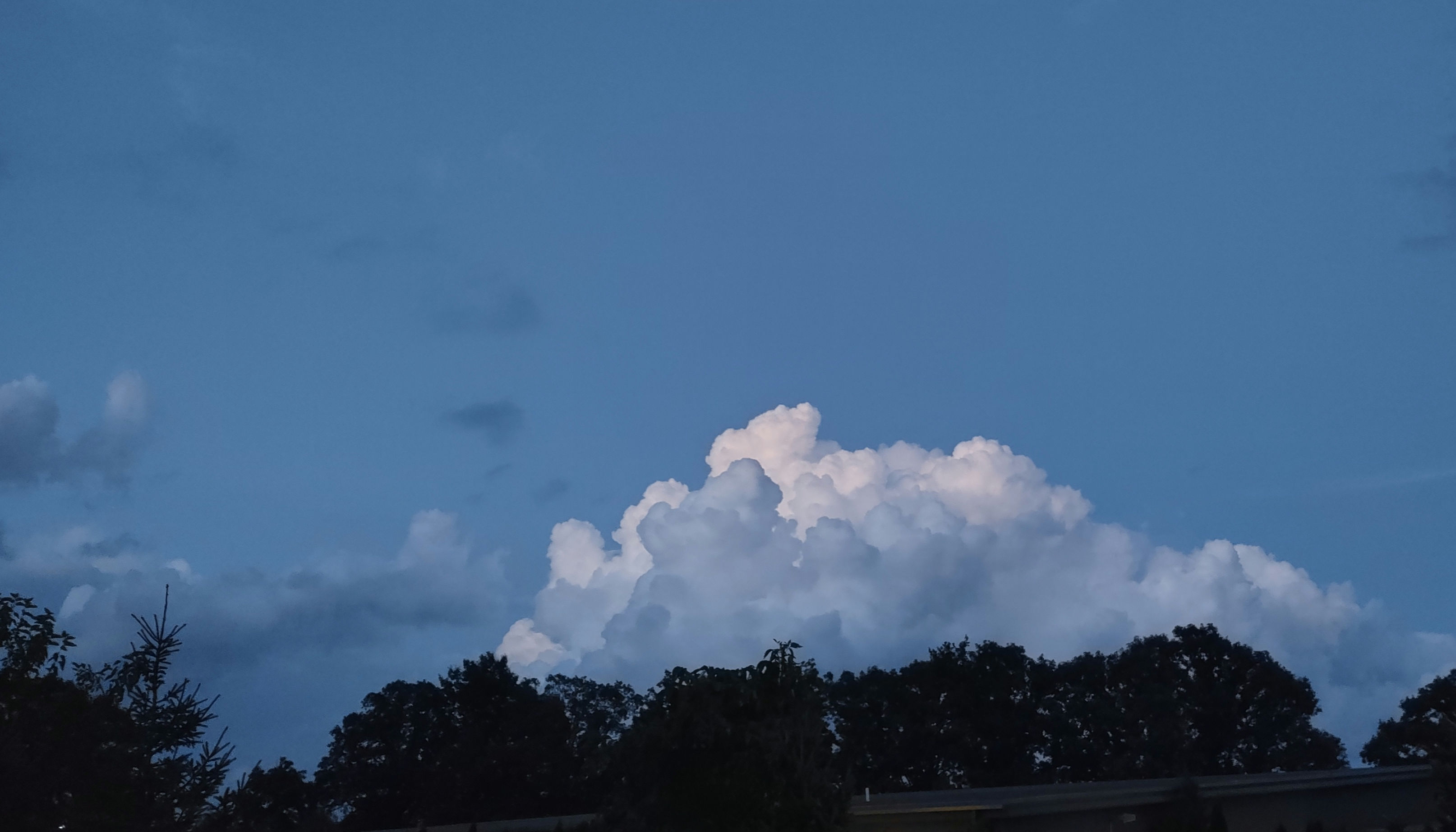 IMG_20240816_205030508_HDR_1