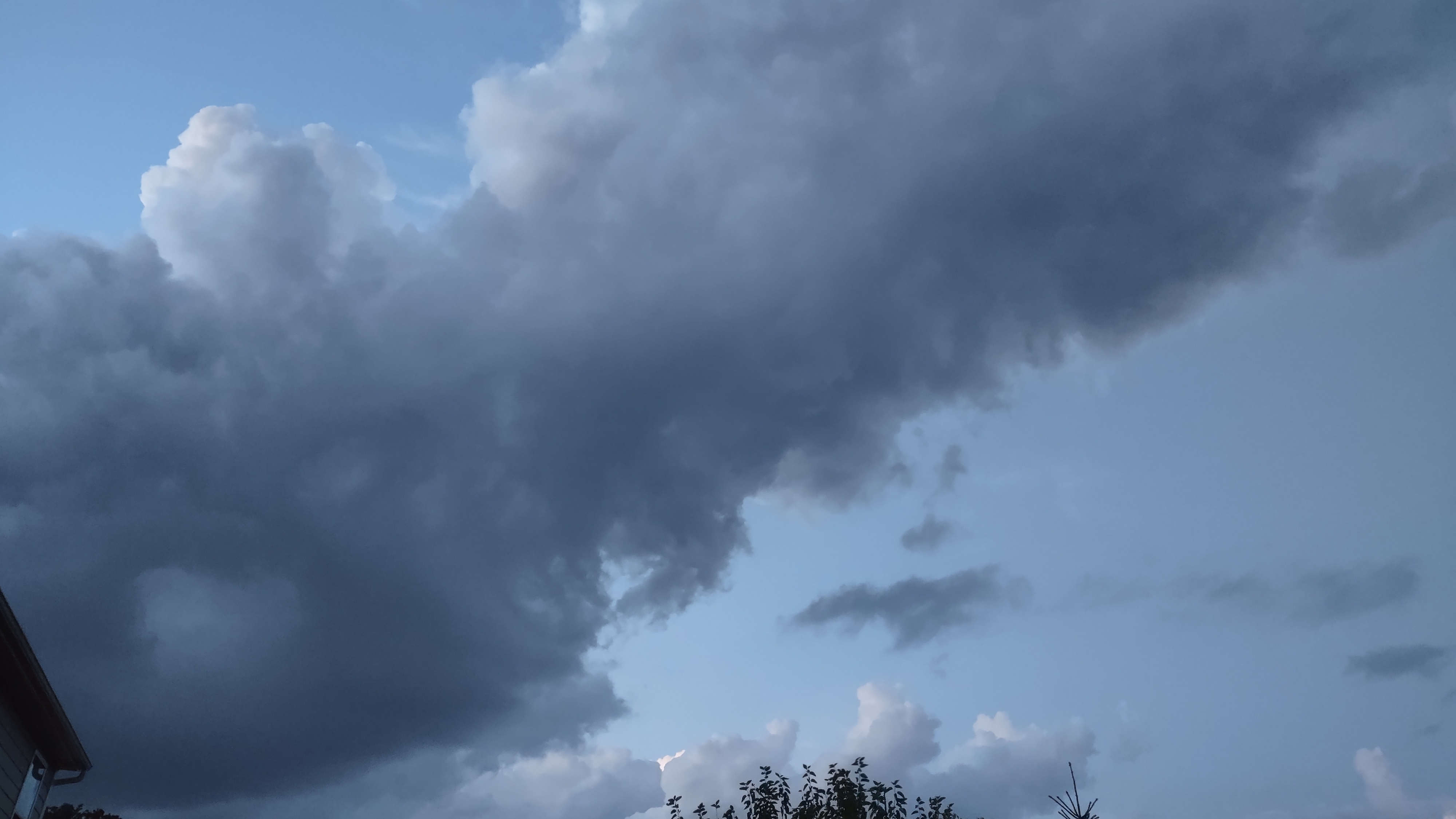 IMG_20240816_205136804