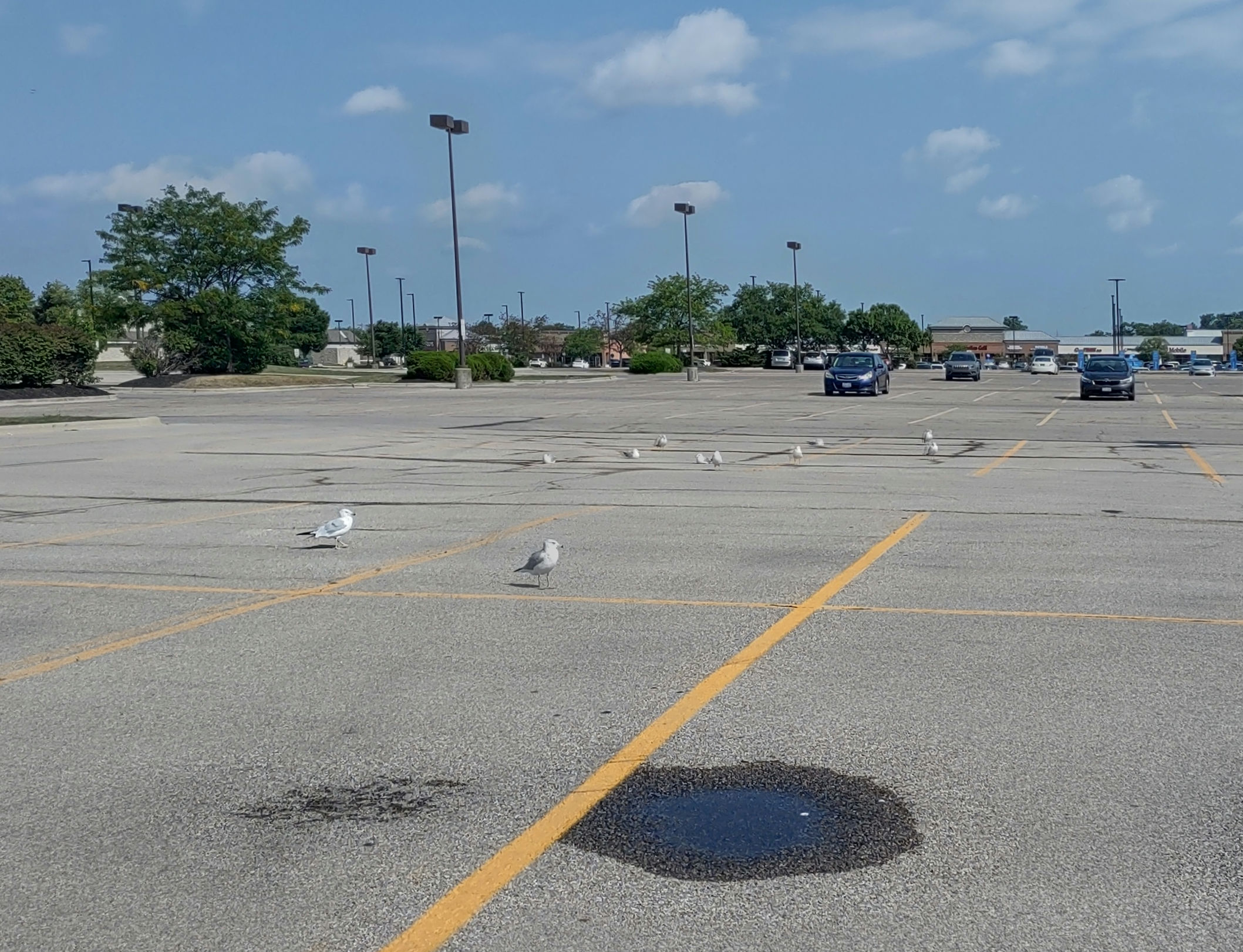 IMG_20240817_103911874_HDR_1