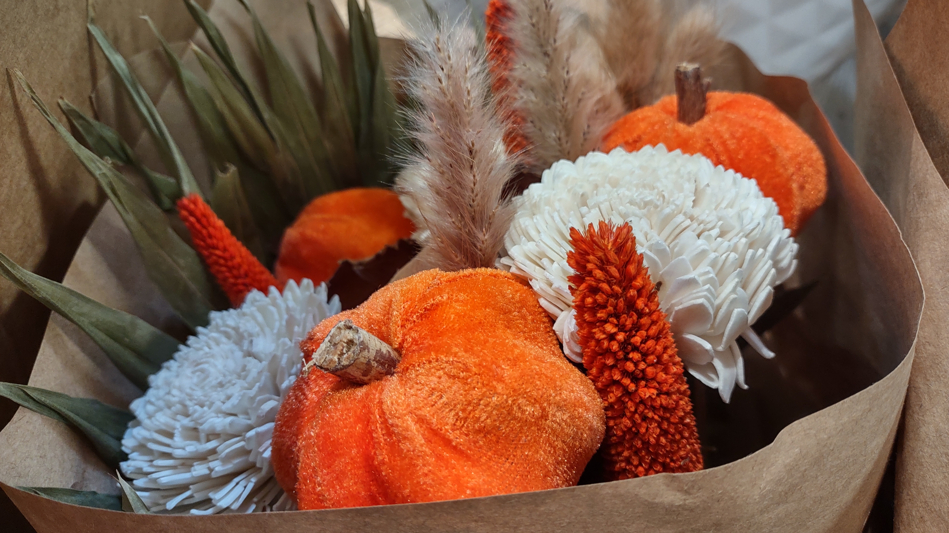 IMG_20240817_110913974_HDR