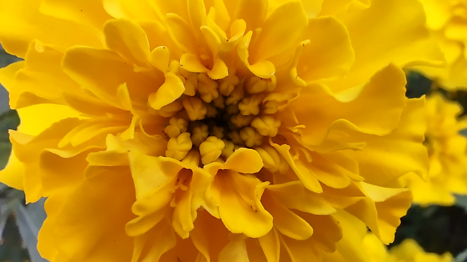 IMG_20240830_191502306