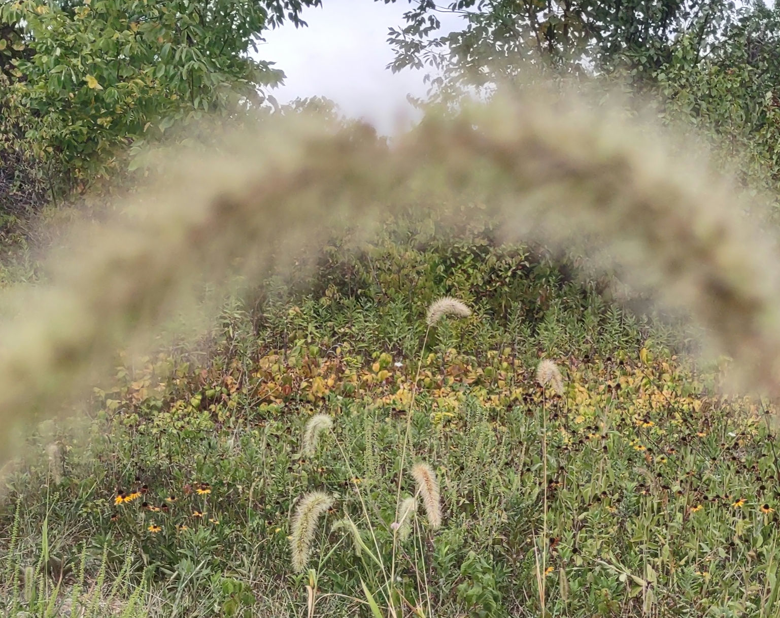 IMG_20240831_155304501_2