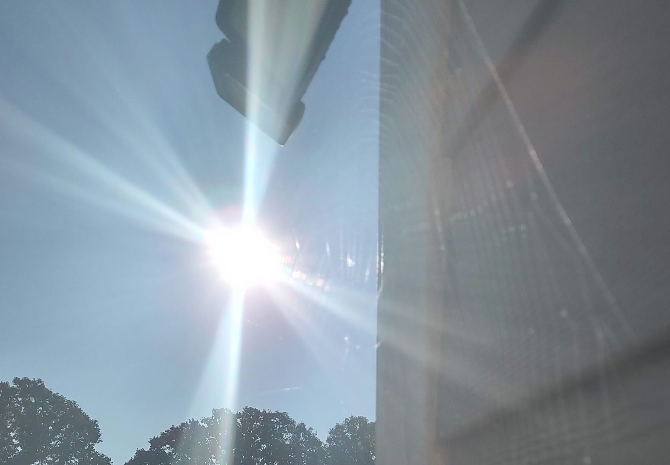 IMG_20240901_084412536_HDR_1