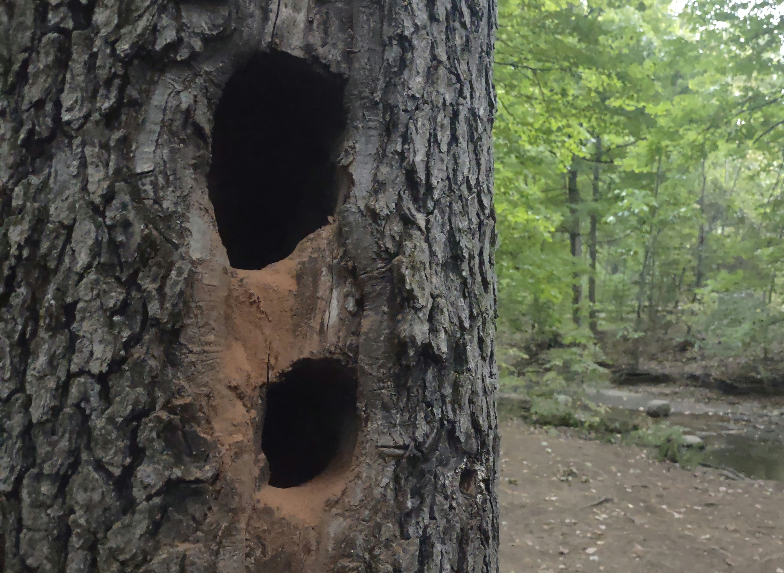 IMG_20240906_191000350_1