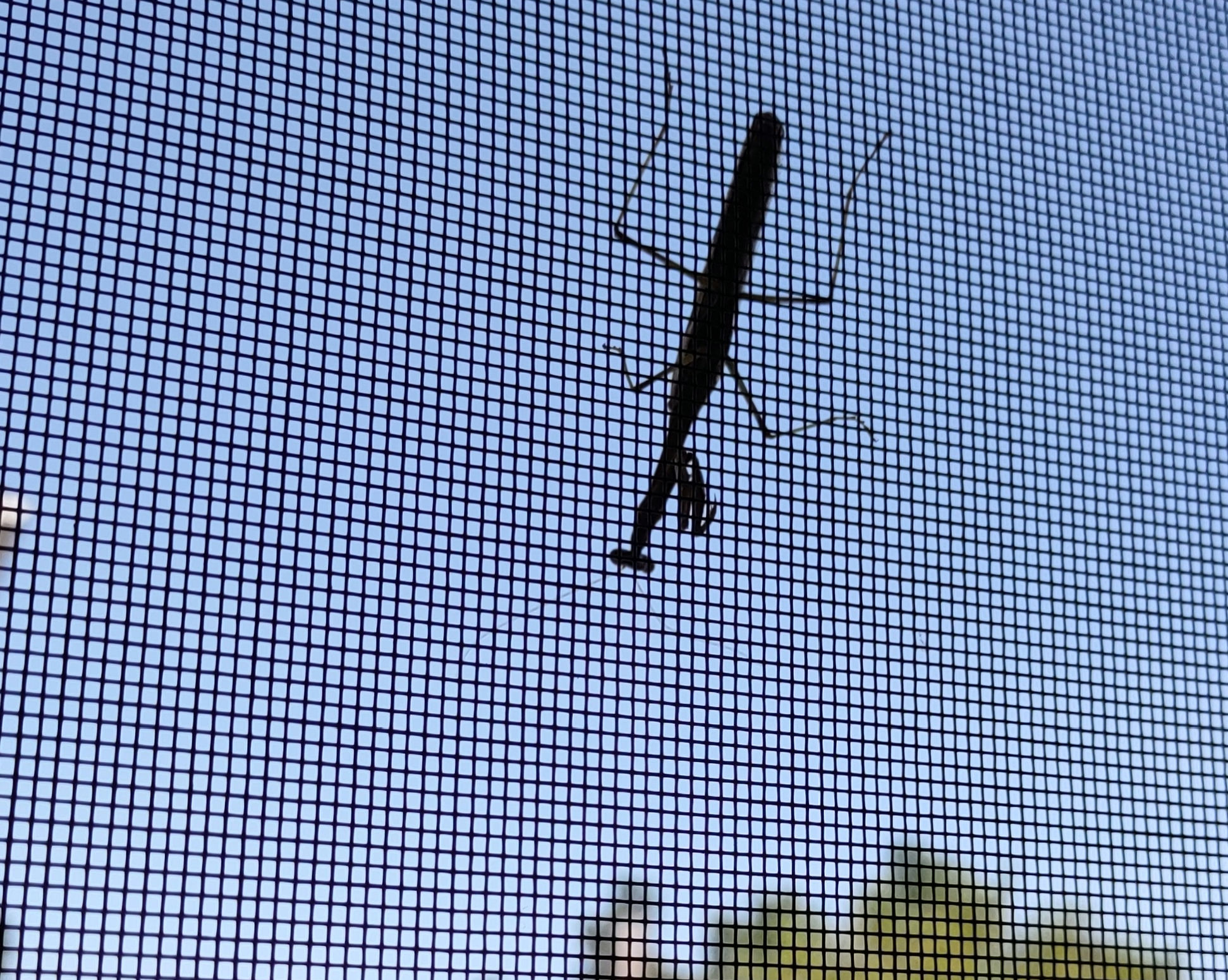 IMG_20240911_121446310_HDR_1