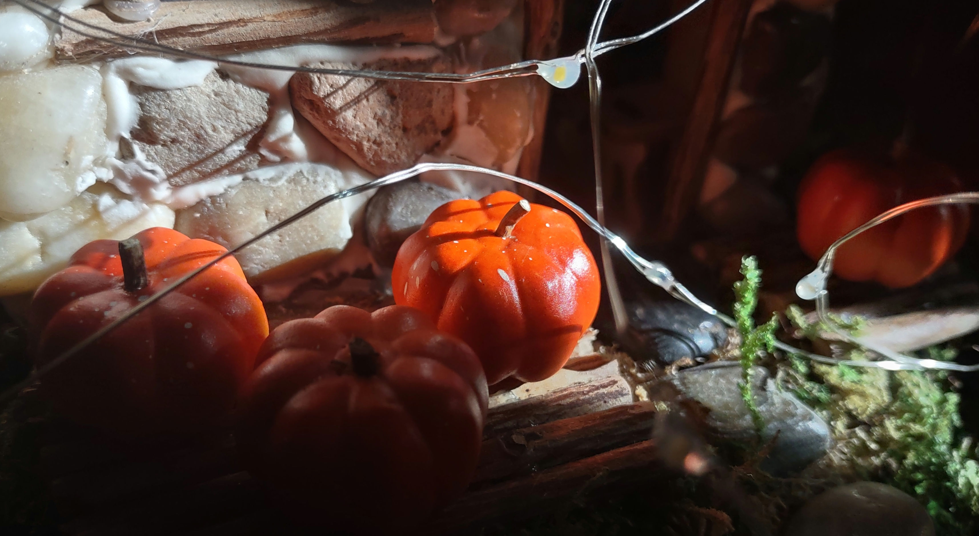 IMG_20240920_093444306_HDR_1