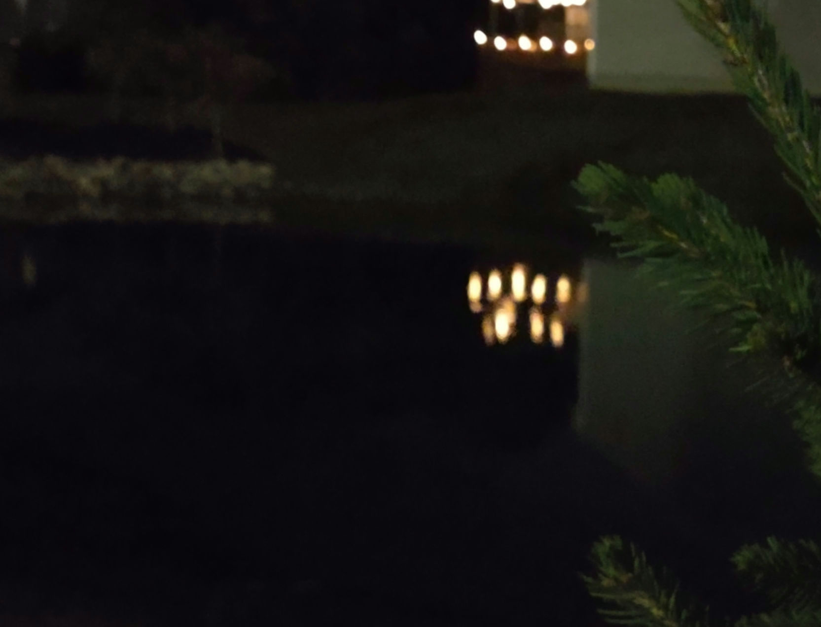 IMG_20240926_201309076_1_2