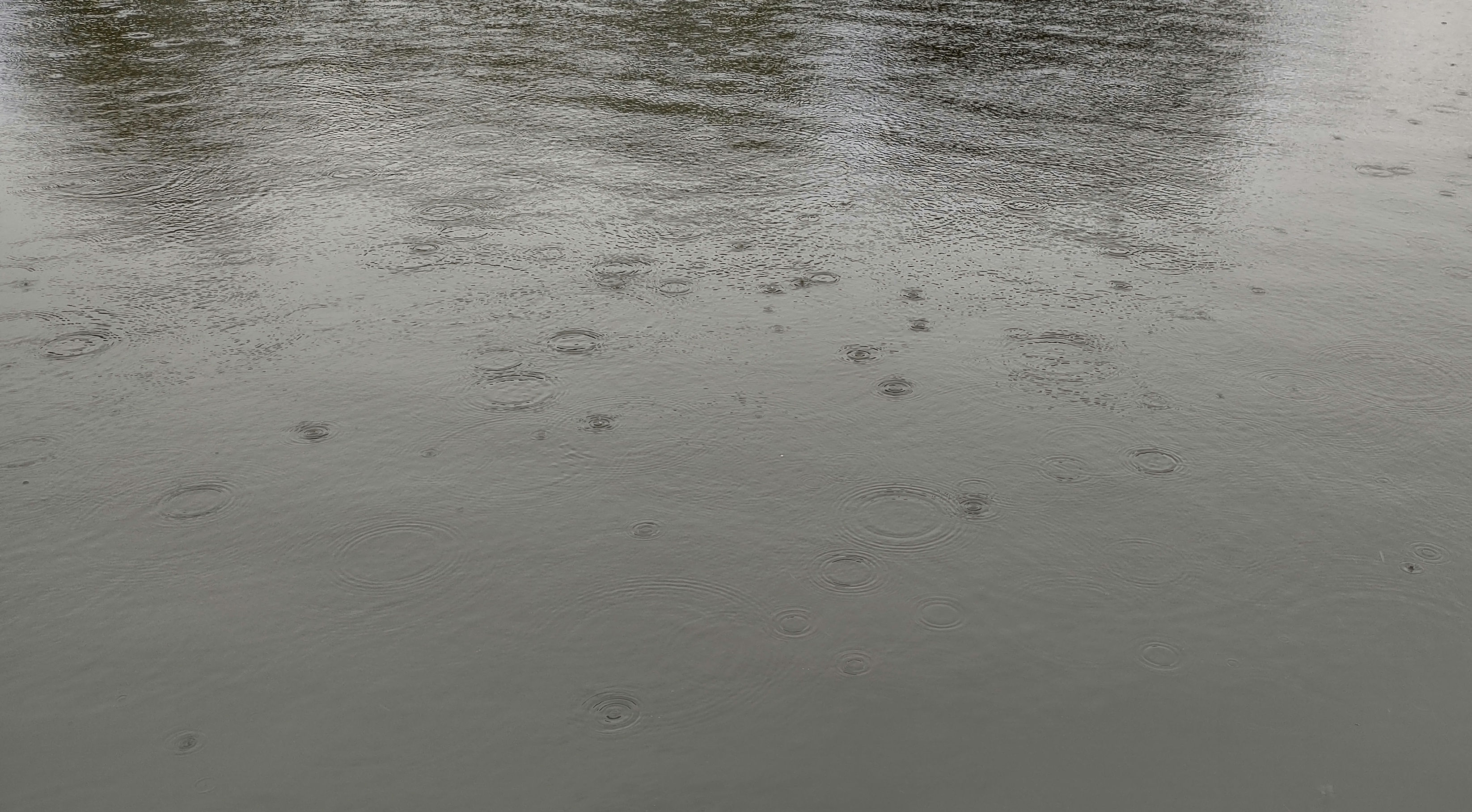 IMG_20240927_115901366_HDR_1