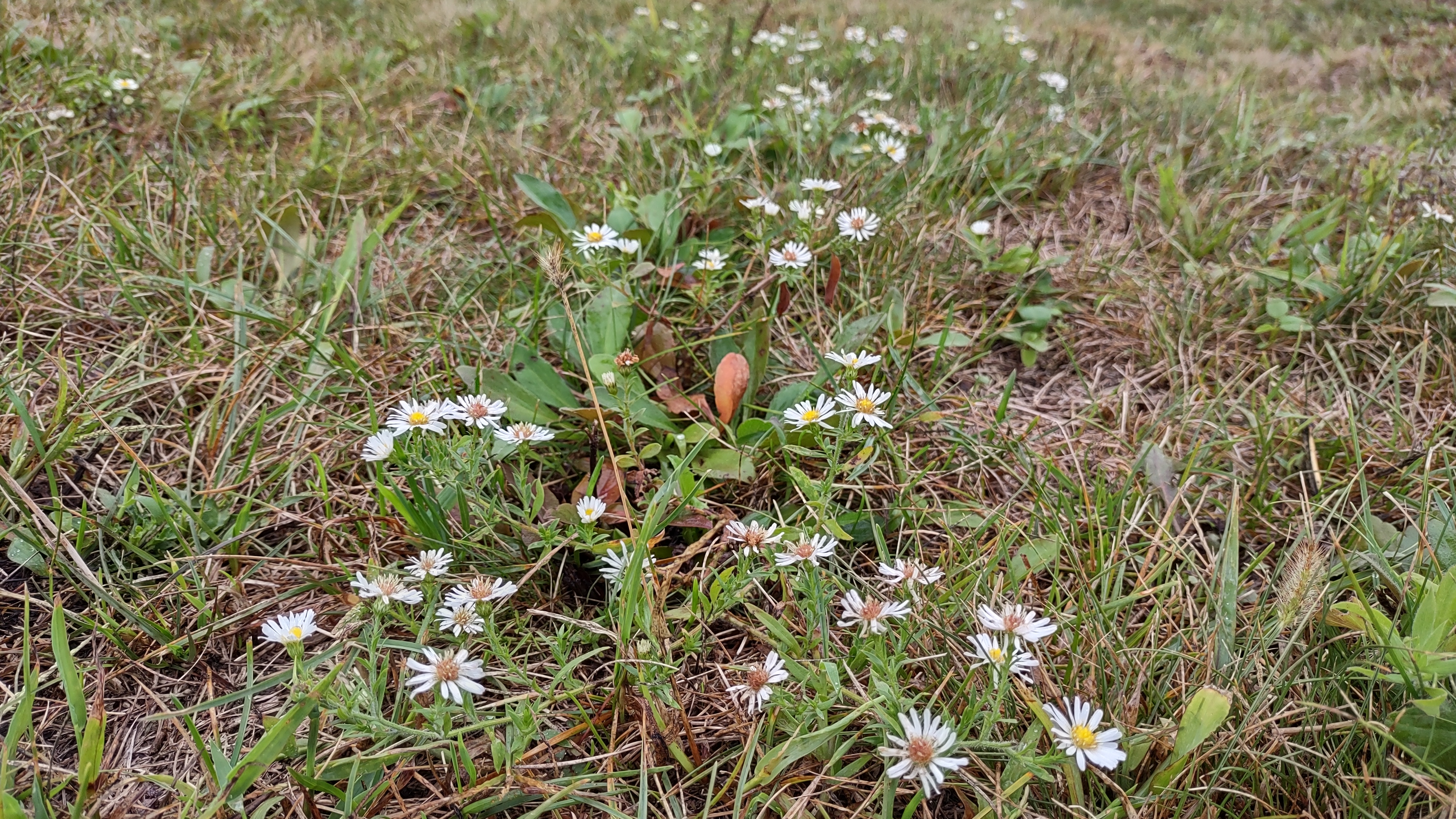 IMG_20240927_115954357_HDR