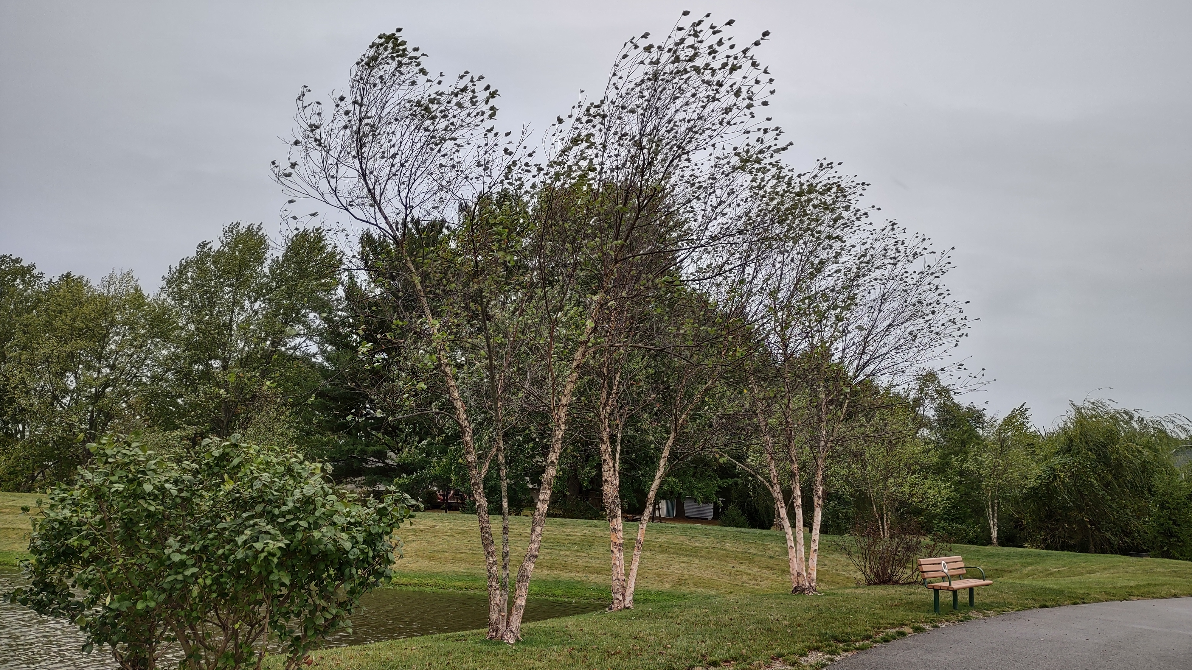 IMG_20240927_120203294_HDR